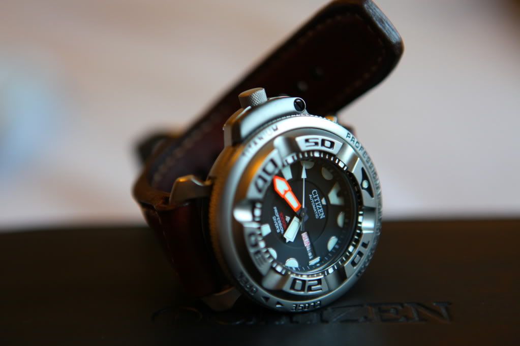 citizen promaster 1000m titanium